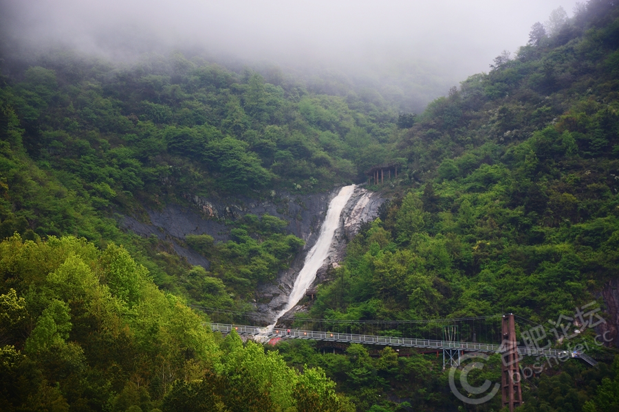 中国安徽白水湾高空玻璃桥景区欢迎您!_风景520 白水湾高空玻璃桥景区位于安徽省安庆市潜山县天柱山镇白水村,自2017年11月18日建成对外开放以来,吸引了不少本土及周边城市游客,由于此处玻璃桥与其他景区玻璃桥、玻璃栈道有不同亮点,能行走在玻璃桥上近距离观赏瀑布,又能感受玻璃桥的晃动带来前所未有的刺激,景区除了有瀑布、花海、玻璃桥,还有极限挑战的悬崖秋千,令多少坚强女子在晃荡的过程中放声尖叫。景区自开园至今,游人慕名纷纷而来,今年清明小长假,吸引了众多省内外及国外(俄罗斯、伊朗等地)游客前来观光游览,因小长假前下了小雨,景区景色绿得格外清新,青山银练,红